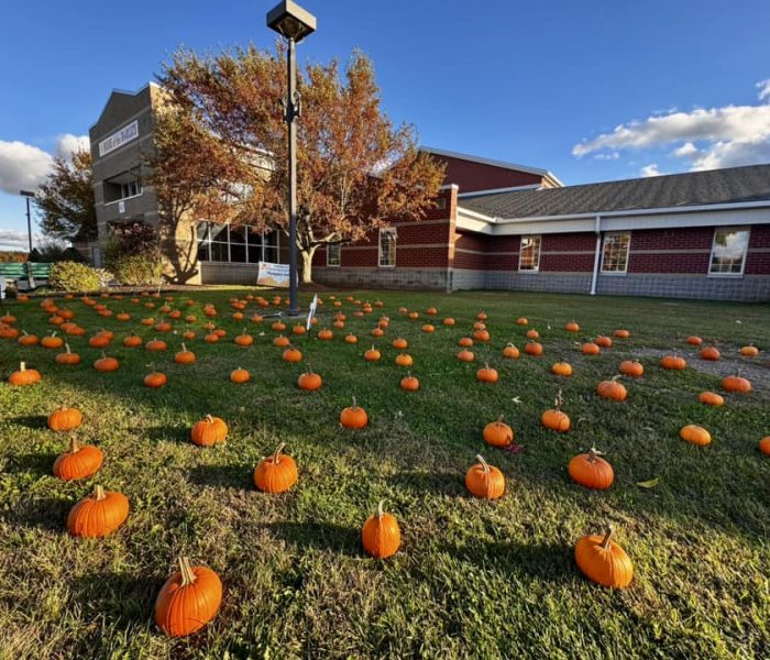 pumpkin patch